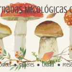 cartel con setas silvestres para anunciar jornadas micológicas