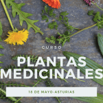 llantén, caléndula y fumaria plantas para anunciar curso de plantas medicinales